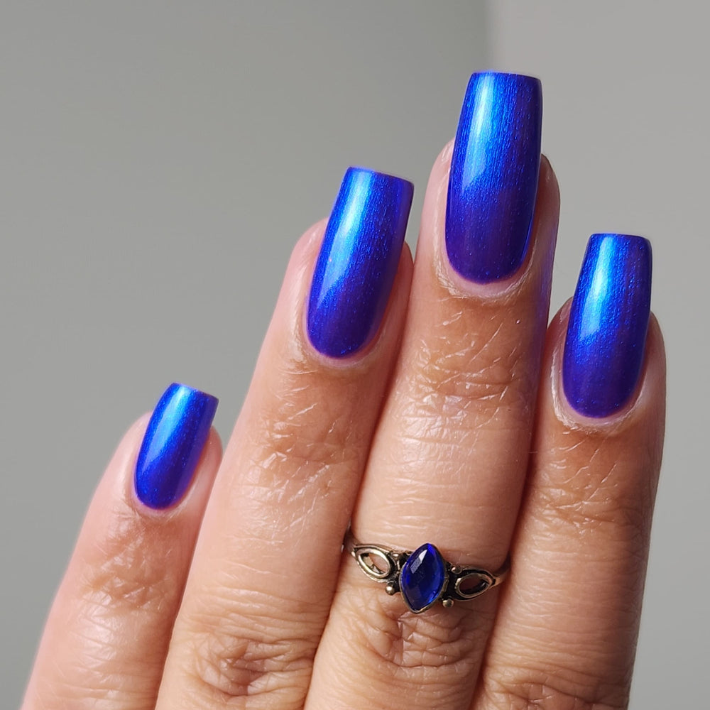 Morpho Butterfly