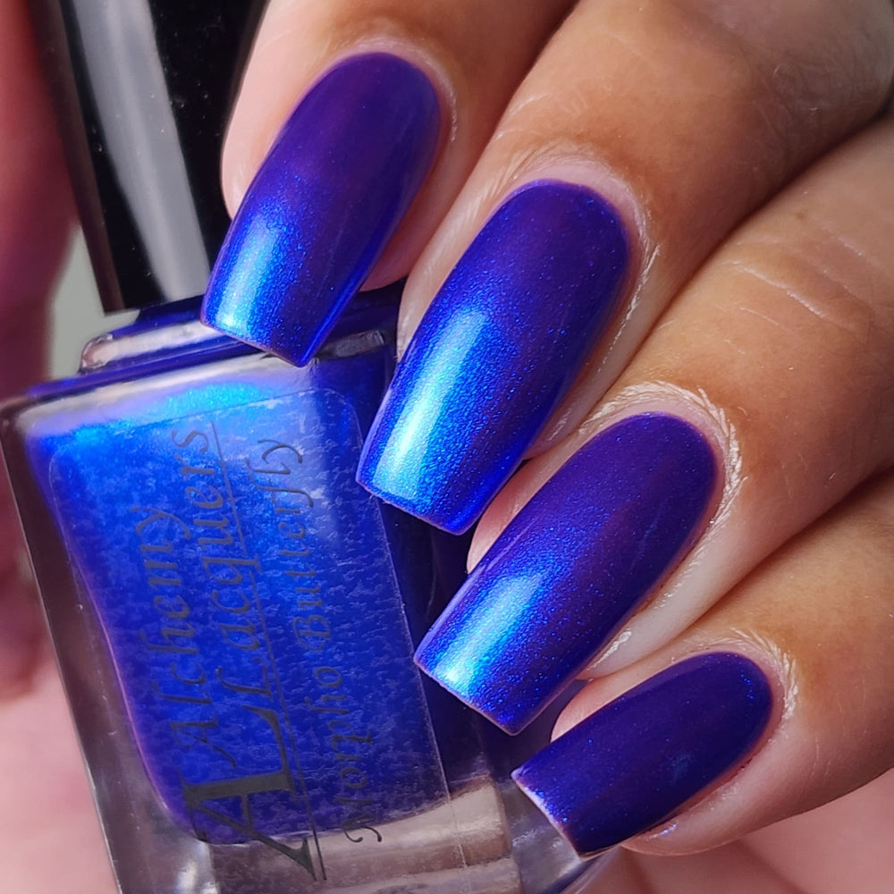 Morpho Butterfly