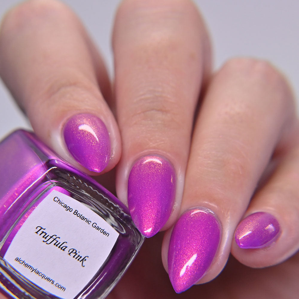 Truffula Pink