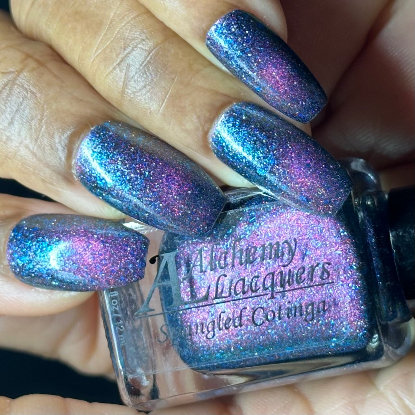 Spangled Cotinga (Magnetic)