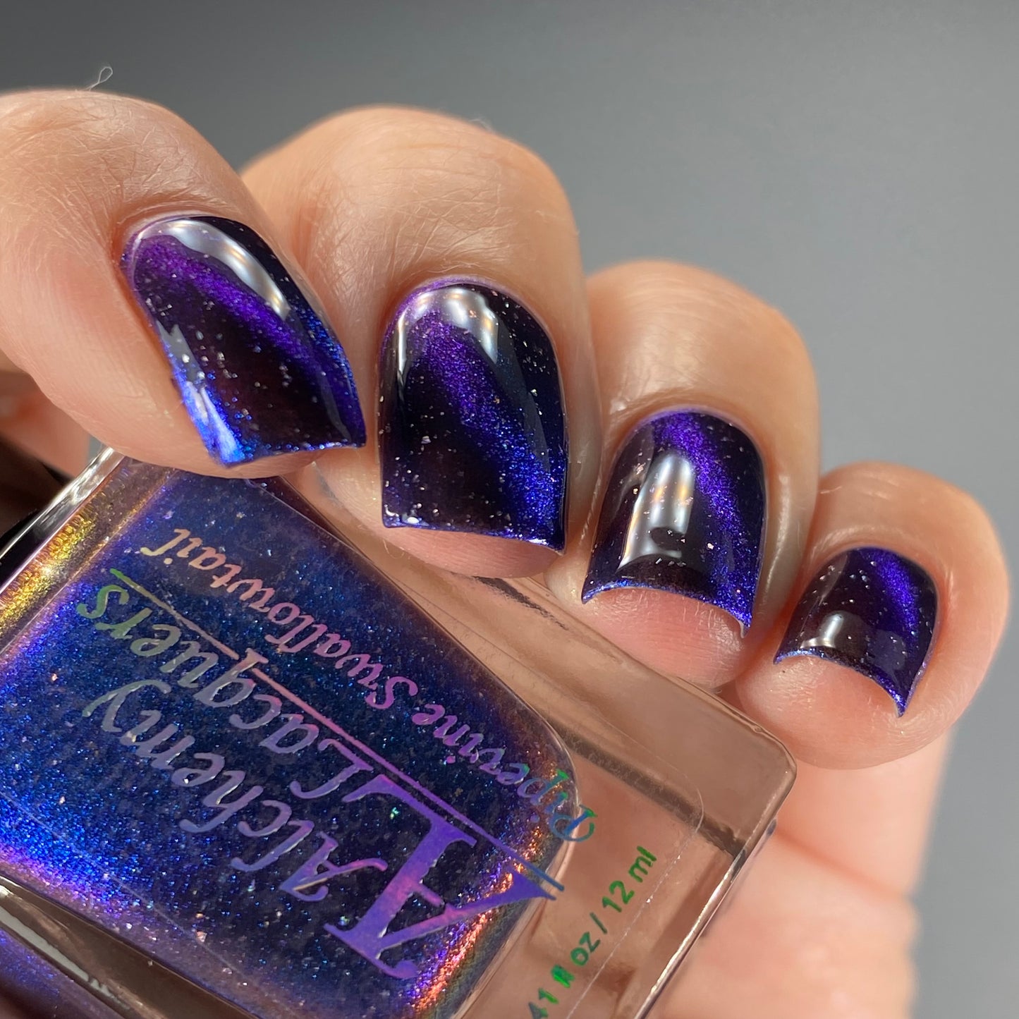 Pipevine Swallowtail (Magnetic / Limited Edition)