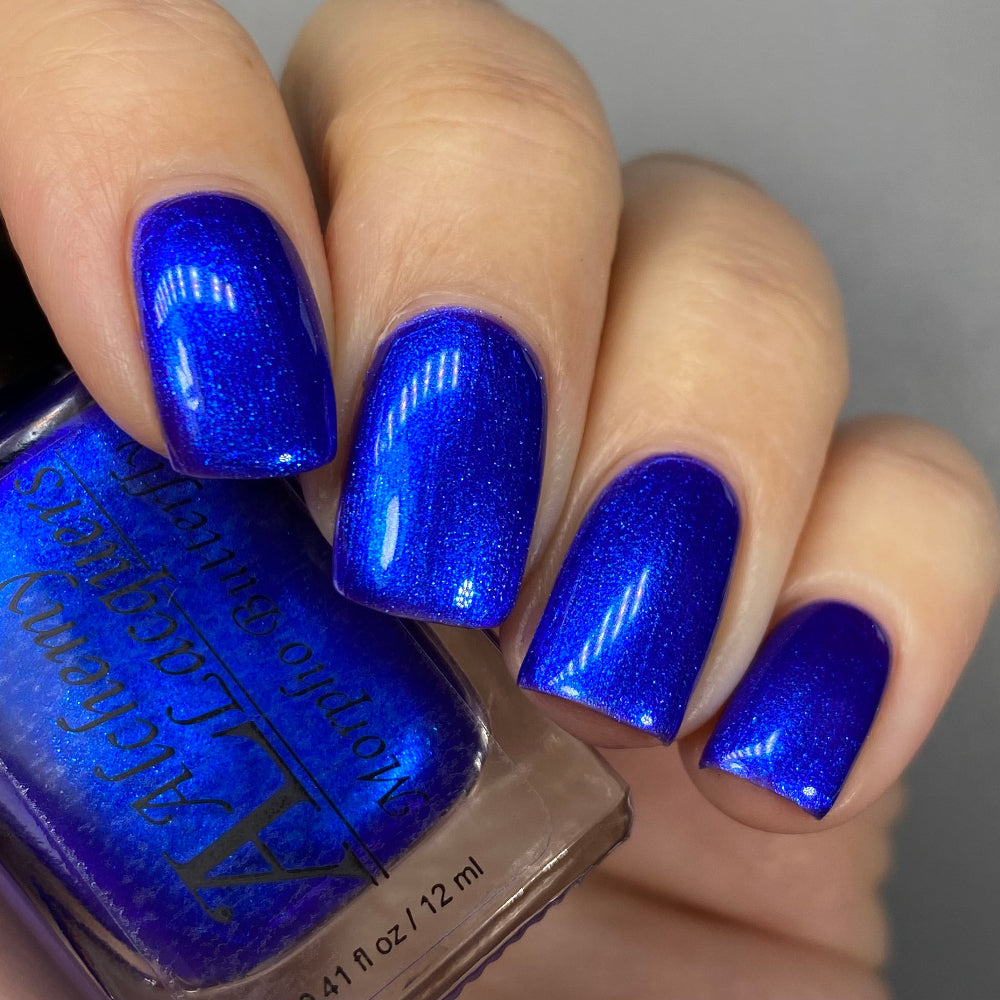 Morpho Butterfly
