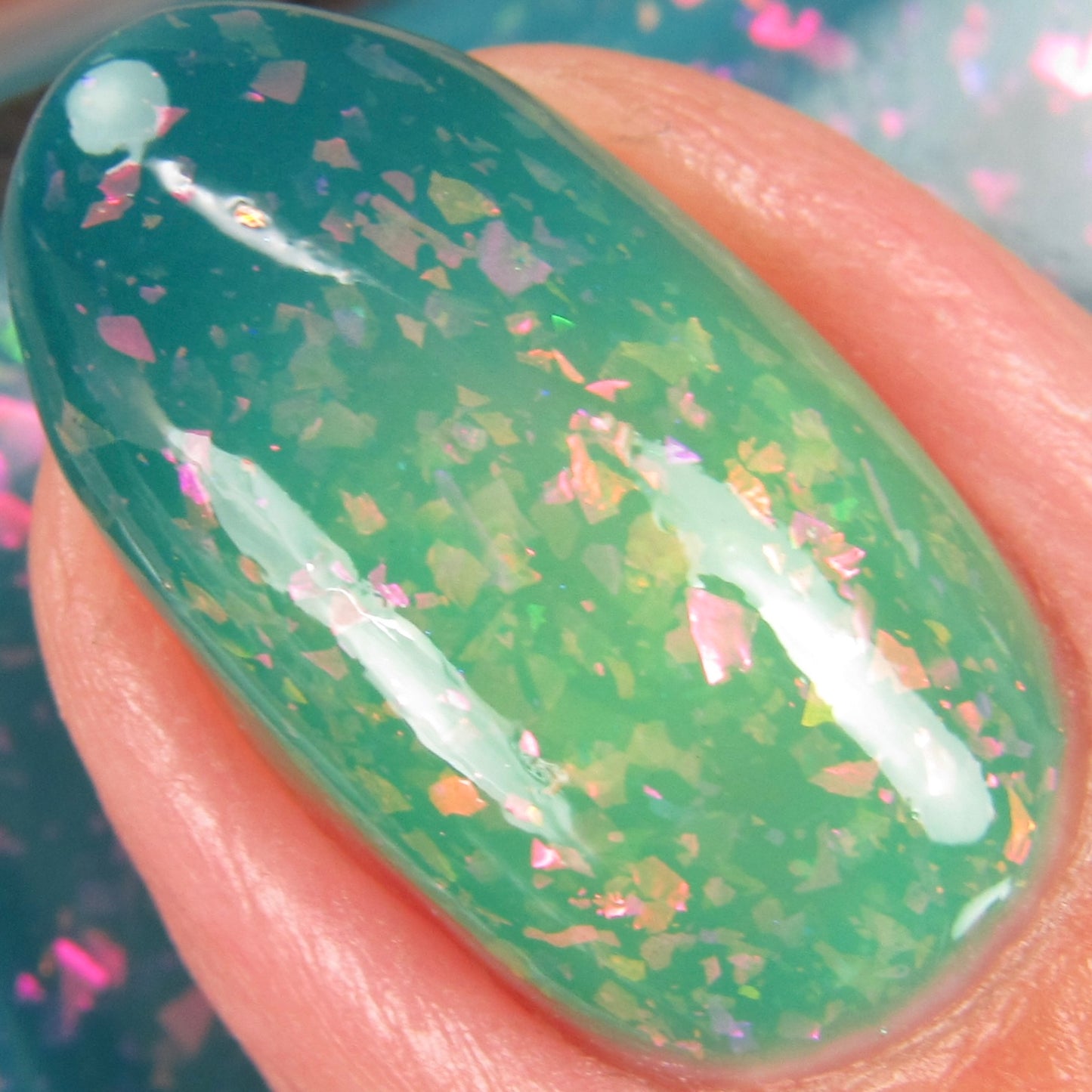 Begonia Decora (Thermal)