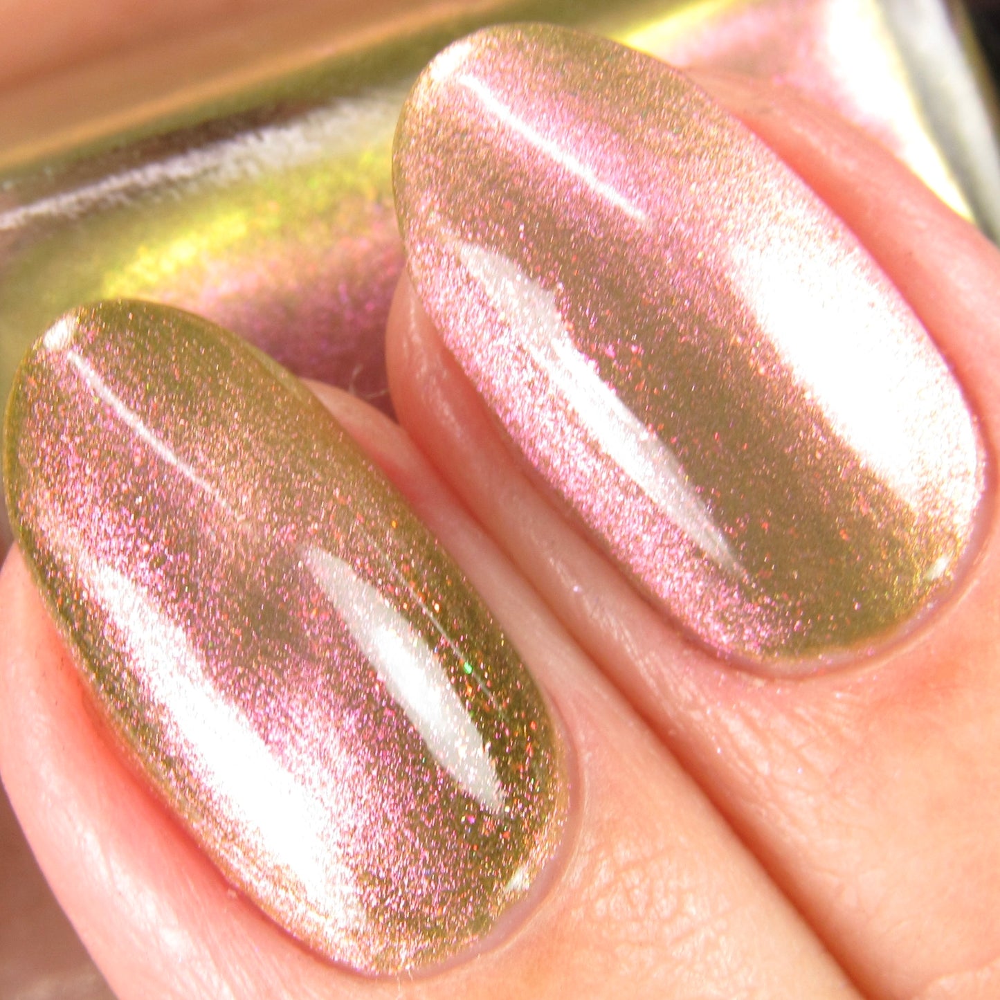 Elepahant Hawk Moth (Magnetic)