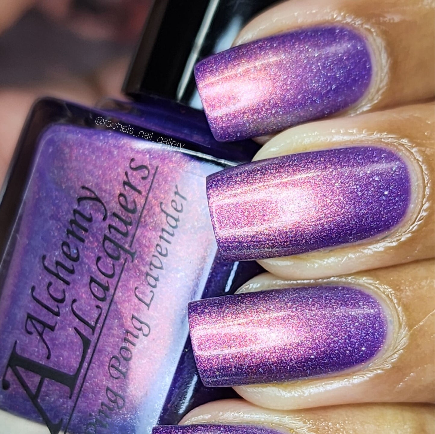 Ping Pong Lavender