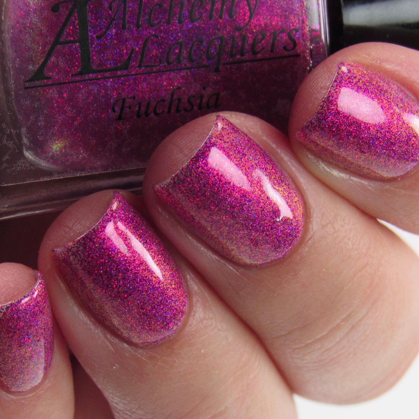 Fuchsia