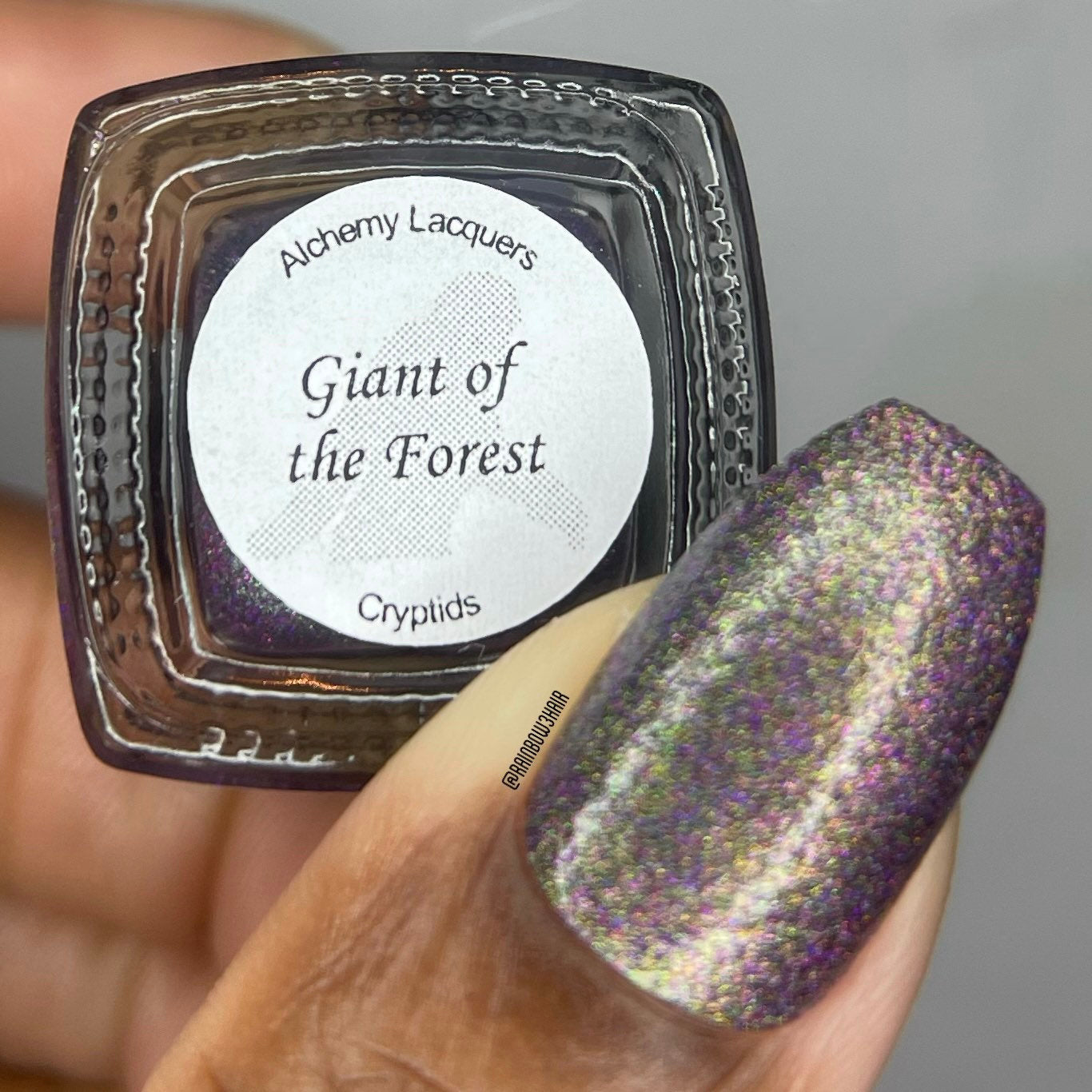 Giant of the Forest
