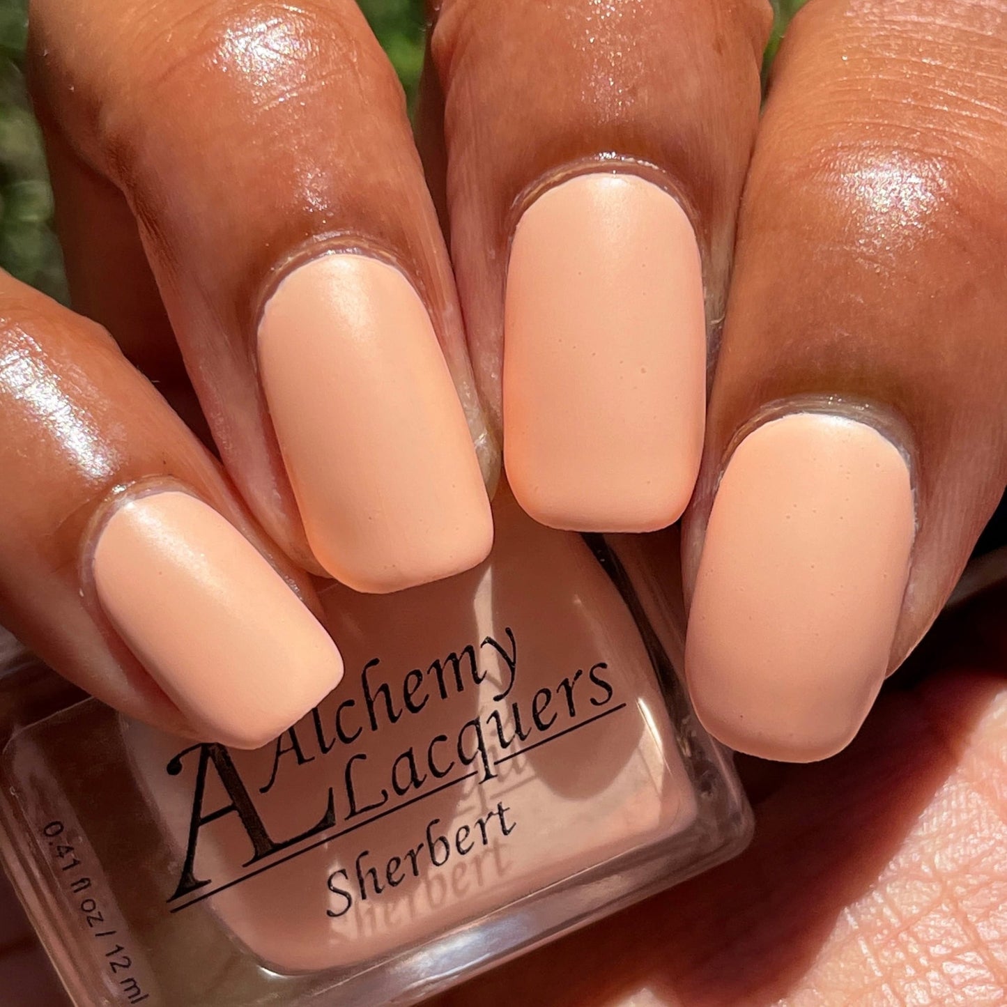 Sherbert