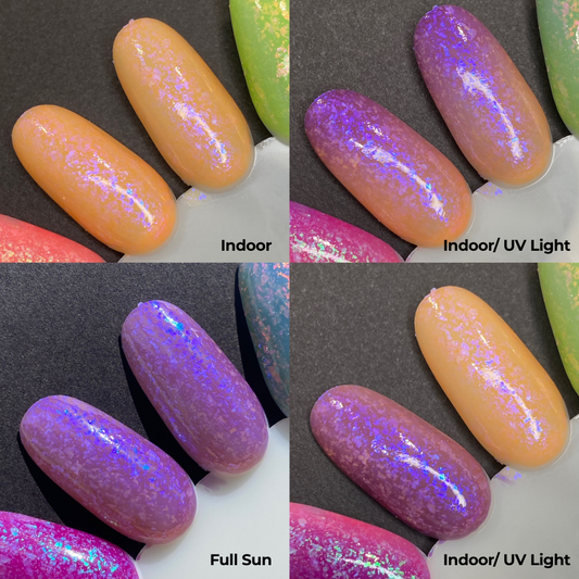 Lanterns of Light (Solar)