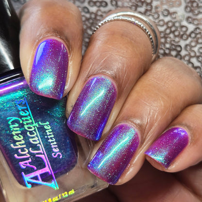 Sentinel (Black Friday Exclusive)