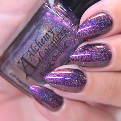 Black Orchid