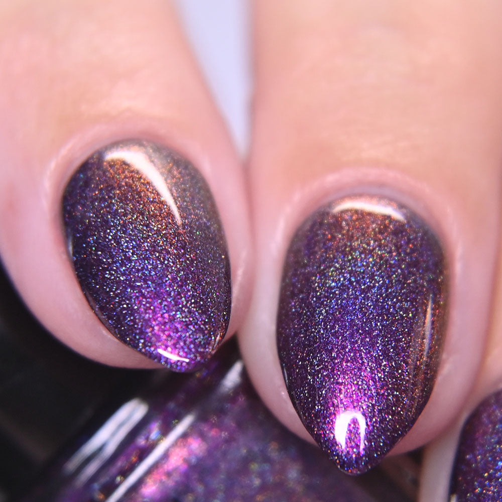 Black Orchid