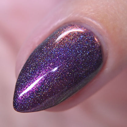 Black Orchid