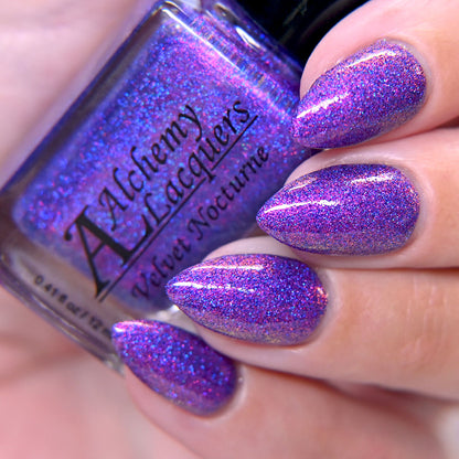 Velvet Nocturne