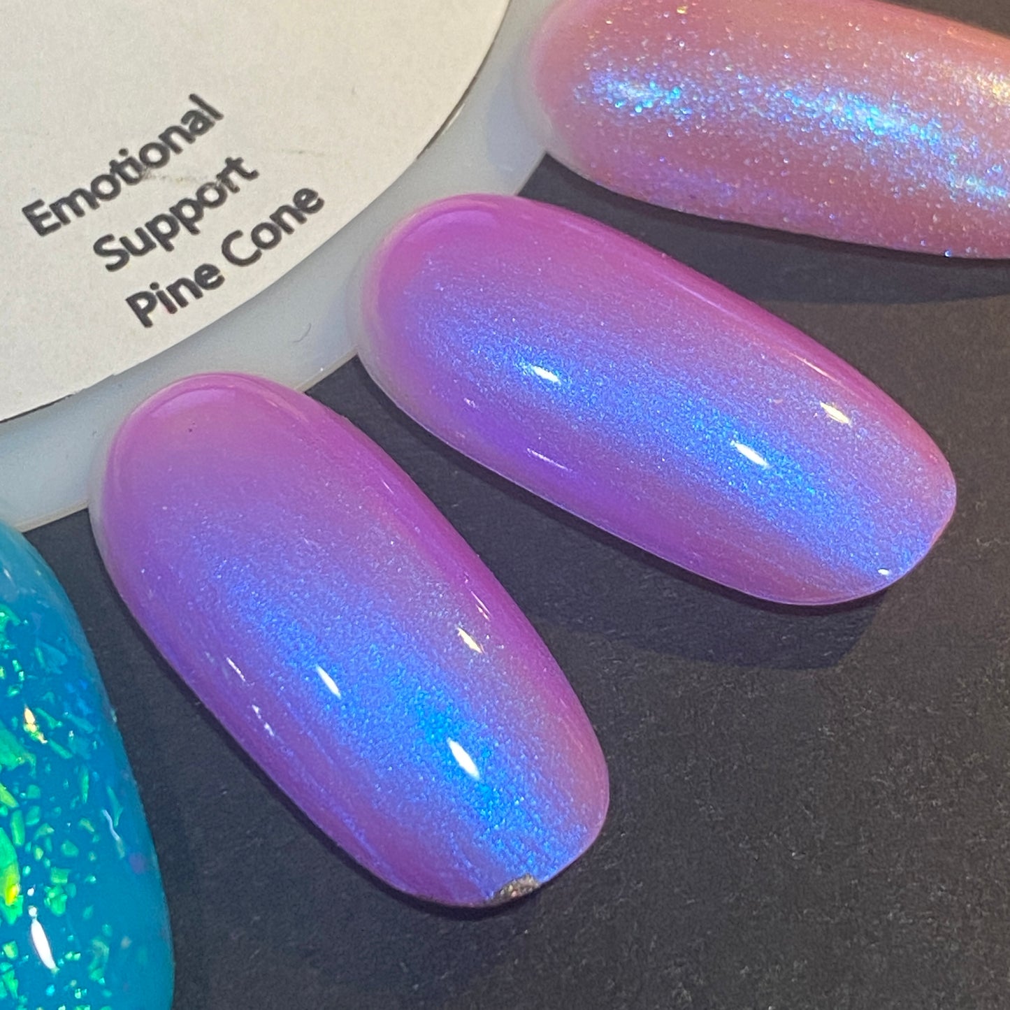 Emotional Support Pinecone