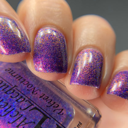 Velvet Nocturne