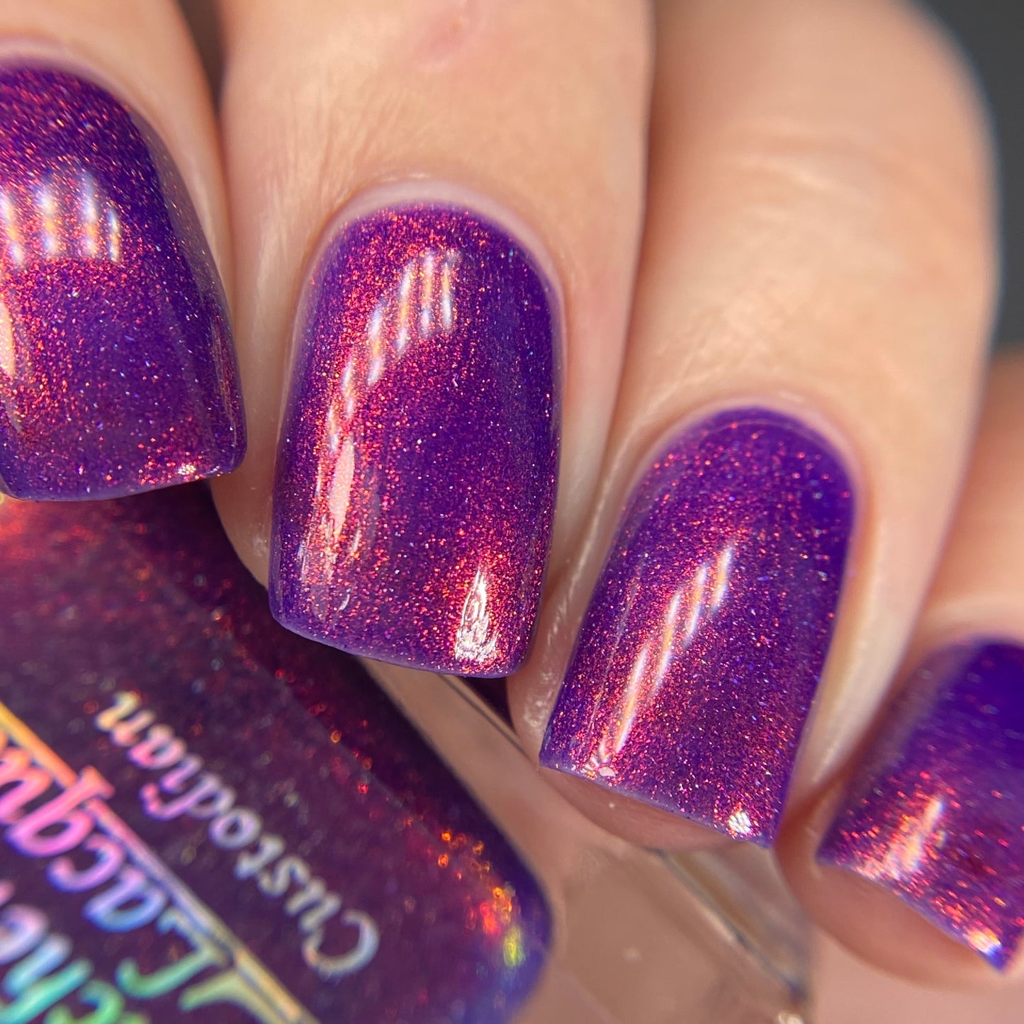 Custodian (Black Friday Exclusive)