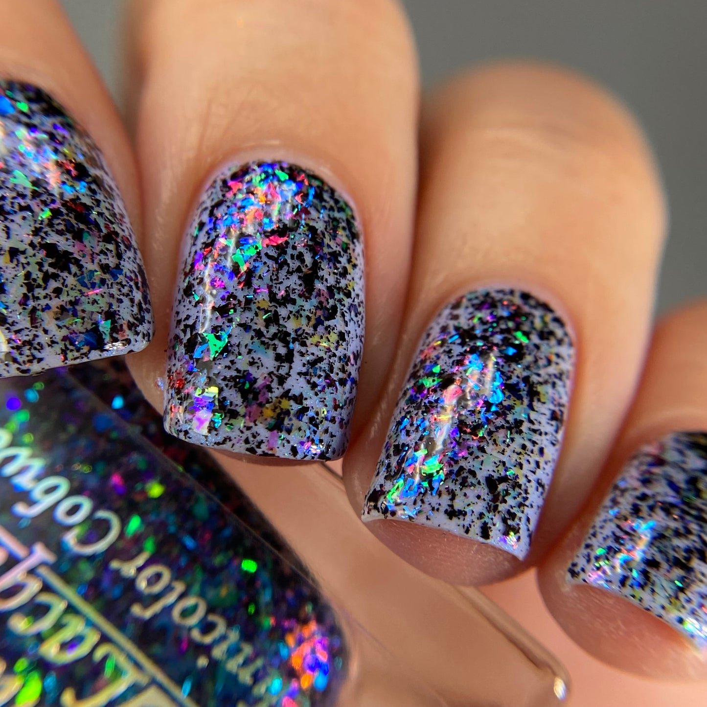 Technicolor Cobweb (Limited Edition)