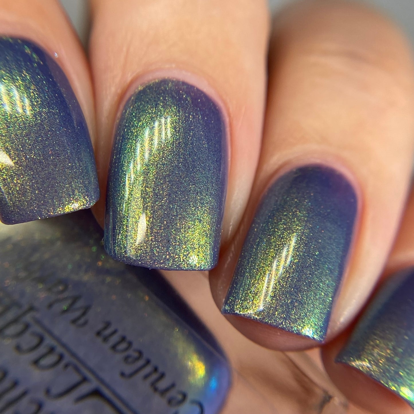 Cerulean Warbler (Limited Edition)