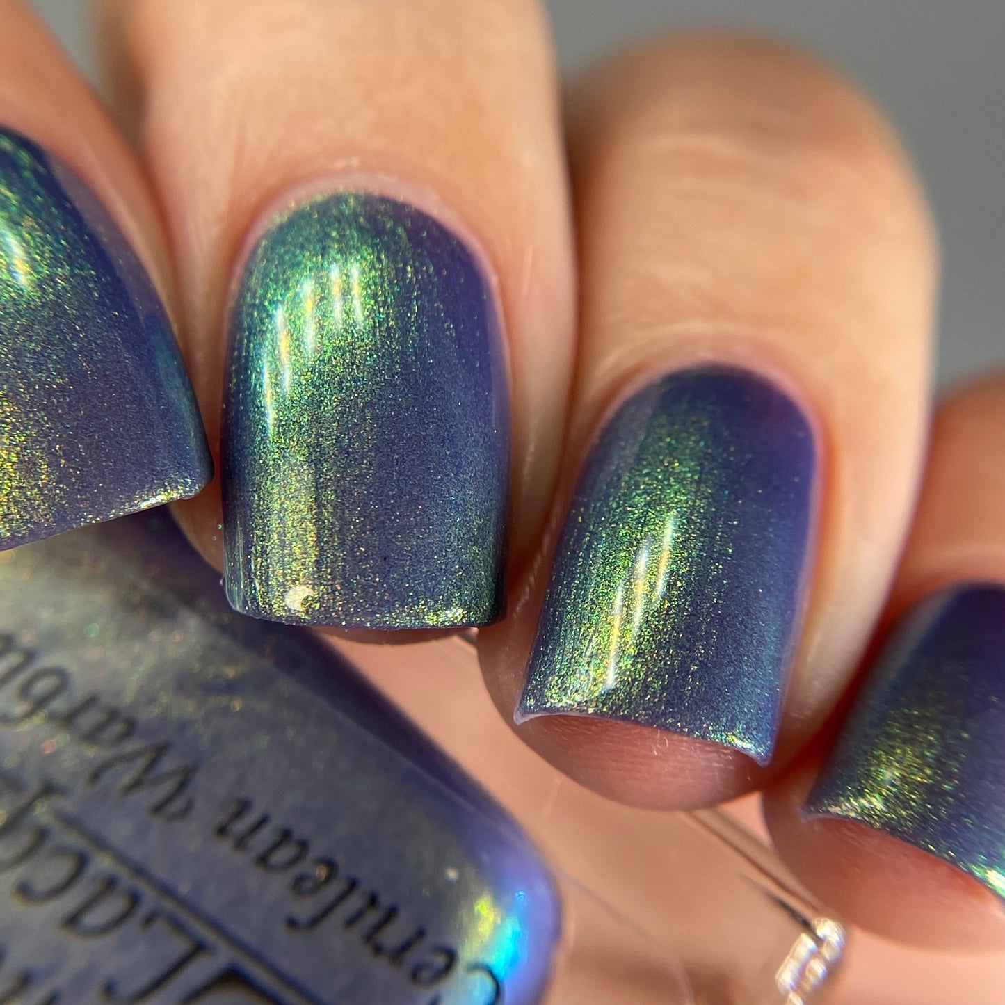 Cerulean Warbler (Limited Edition)