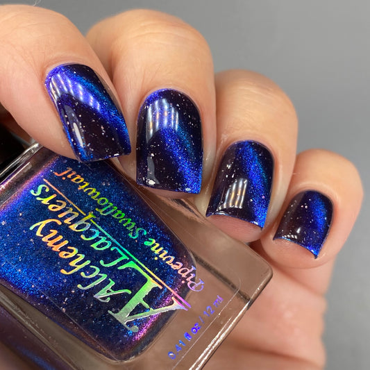 Pipevine Swallowtail (Magnetic / Limited Edition)