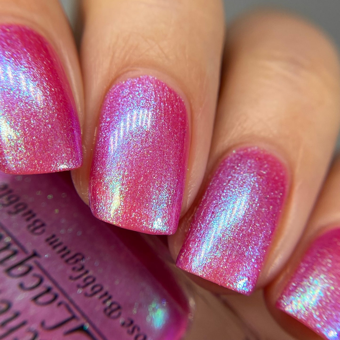 Moose Bubblegum Bubble