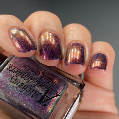 Black Orchid