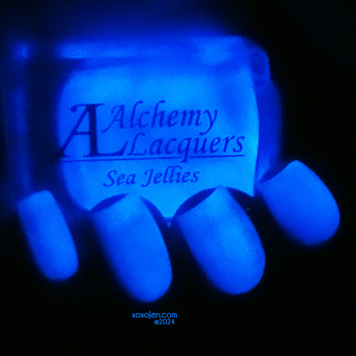 Sea Jellies (GITD - Limited Edition)